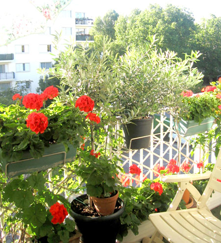 balkon2