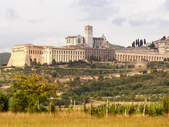 svfrancisek